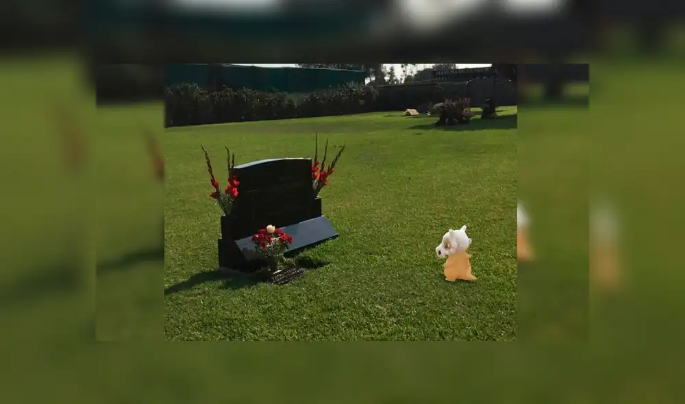 Pokémon GO: Recrean trágica escena de Cubone por el Día de la Madre [FOTOS]