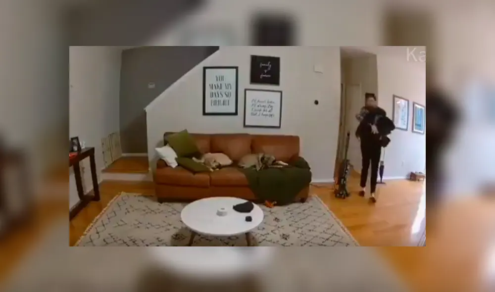 Video es viral en Facebook. El can se percató de que su amo necesitaba “una mano” y no dudó en dejar un momento su momento de siesta para ayudarlo.