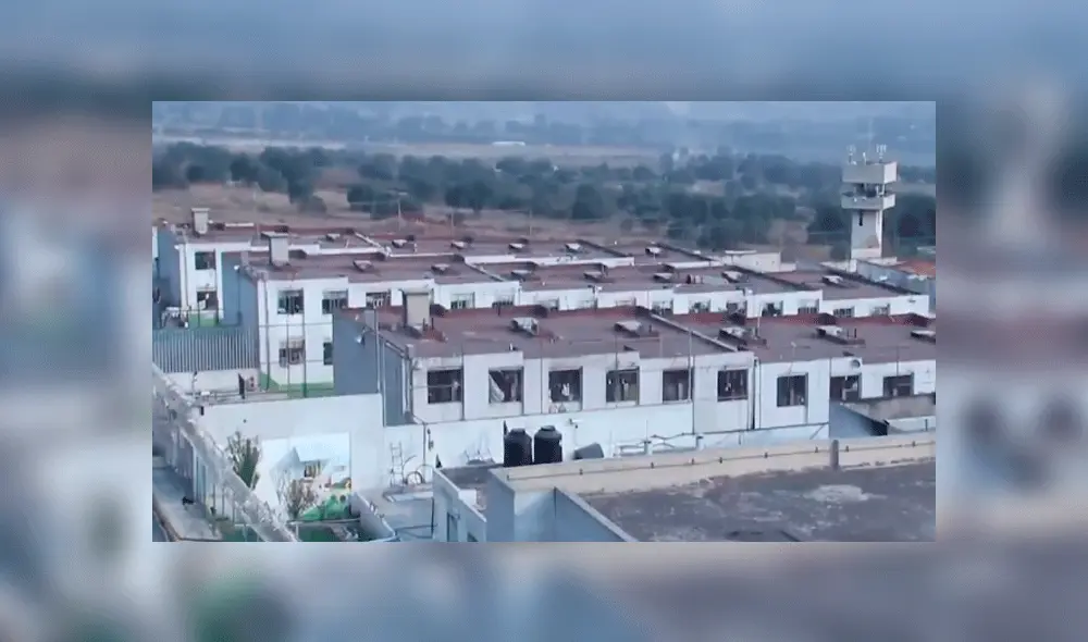 Anciano fue encarcelado tras defenderse de delincuente que le arrebató su violín Anciano fue encarcelado tras defenderse de delincuente que le arrebató su violín