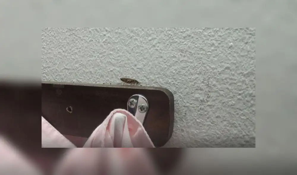 Dentro del local se encontró a una mujer de 25 años, quien dijo ser trabajadora hace dos meses. Ella no quiso dar el nombre del supuesto dueño. (Foto: Municipalidad de Surco)