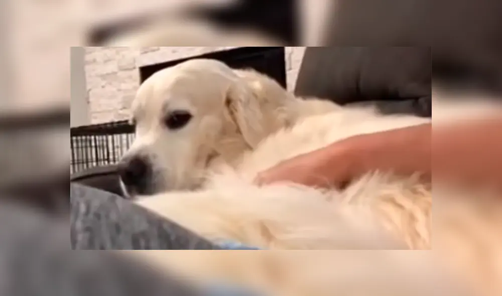 Desliza para ver lo momento más divertidos del video que se hizo viral en YouTube. Desliza para ver lo momento más divertidos del video que se hizo viral en YouTube.