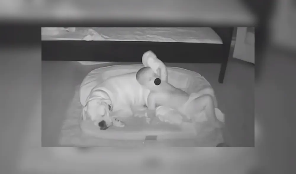 Un bebé no quería seguir durmiendo solo y se bajó de su cama para acostarse con su perro. Foto: YouTube