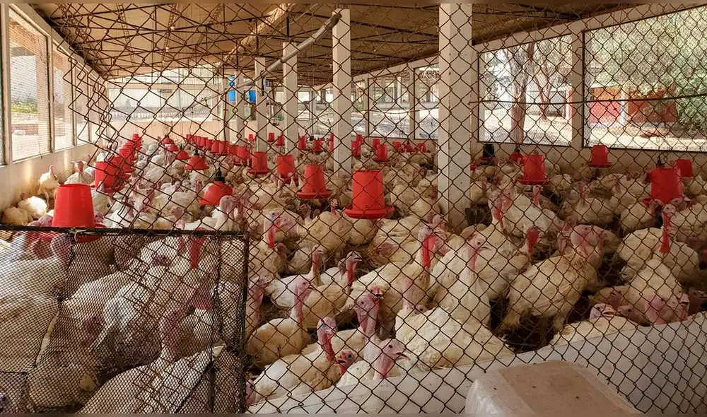 Espacio se encuentra en la Facultad de Zootecnia. Foto: A. Ruesta/URPI-LR Espacio se encuentra en la Facultad de Zootecnia. Foto: A. Ruesta/URPI-LR