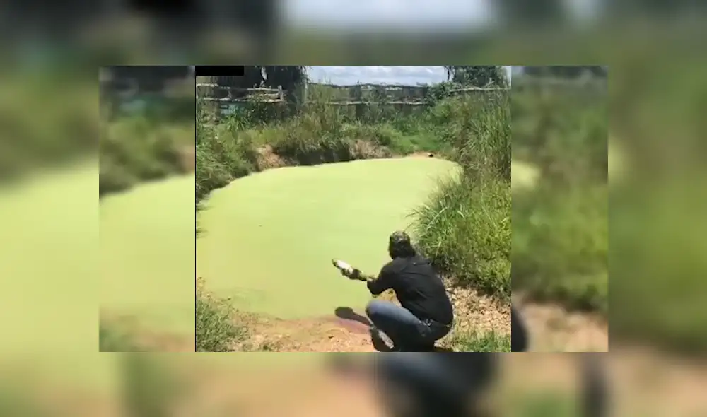 Facebook viral: hombre visitó pantano abandonado, se acerca y enorme reptil intentó devorarlo [VIDEO] 