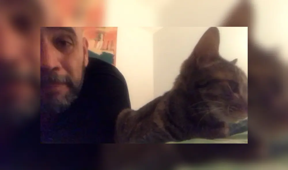 En Facebook, un señor estaba cansado que su gato despierte temprano y le hizo una inesperada súplica. En Facebook, un señor estaba cansado que su gato despierte temprano y le hizo una inesperada súplica.