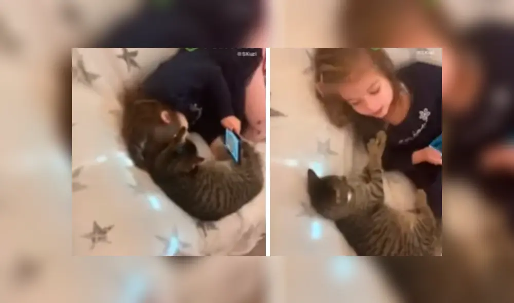Video es viral en Facebook. El felino no soportó que su pequeña dueña lo ignore por revisar su celular y buscó llamar su atención con gracioso comportamiento Video es viral en Facebook. El felino no soportó que su pequeña dueña lo ignore por revisar su celular y buscó llamar su atención con gracioso comportamiento