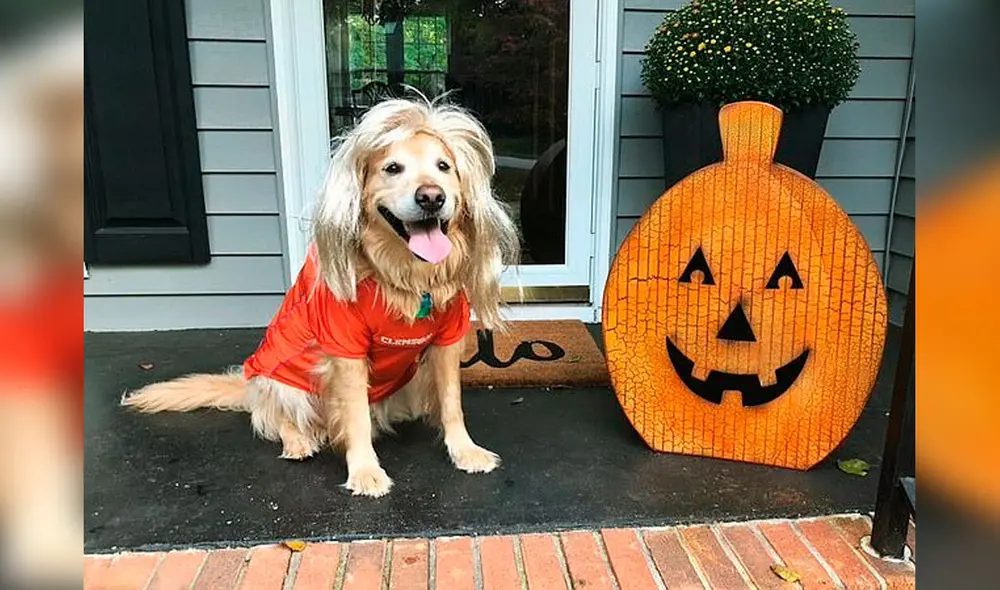 Desliza las imágenes para conocer el amoroso gesto de una mujer para recordar a su fiel mascota. Foto: Instagram Desliza las imágenes para conocer el amoroso gesto de una mujer para recordar a su fiel mascota. Foto: Instagram