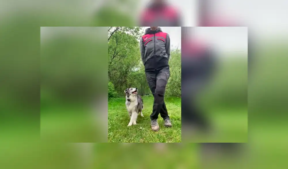 Desliza las imágenes para ver la peculiar sorpresa que se llevó una mujer al revisar el teléfono de su madre  verla bailar junto a su perro. Foto: TikTok