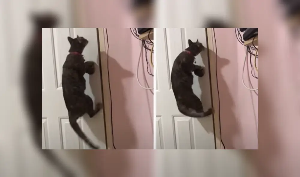 Desliza hacia la izquierda para ver las imágenes del viral de Facebook. Foto: Captura. Desliza hacia la izquierda para ver las imágenes del viral de Facebook. Foto: Captura.