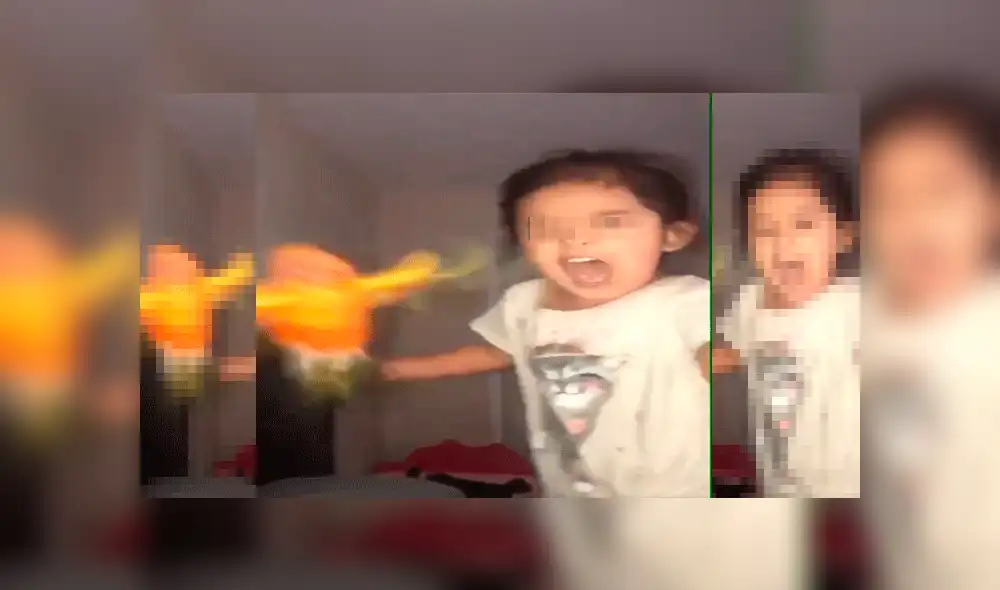 YouTube viral: temible loro es entrenado por una niña para que ataque cuando ella se lo pide [VIDEO]