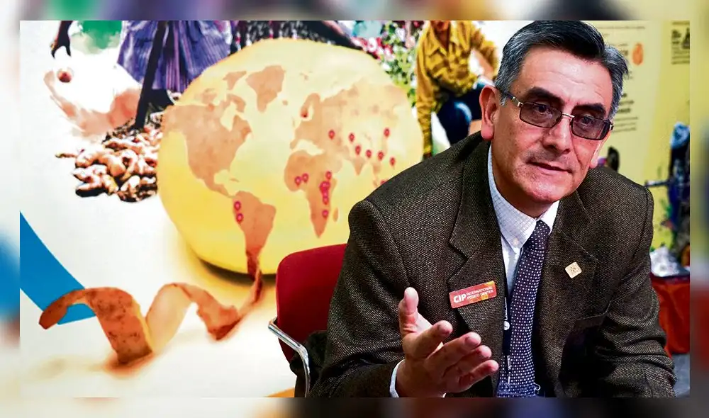 El reto es salvar la papa, amenazada por plagas que vendrán con el cambio climático El reto es salvar la papa, amenazada por plagas que vendrán con el cambio climático