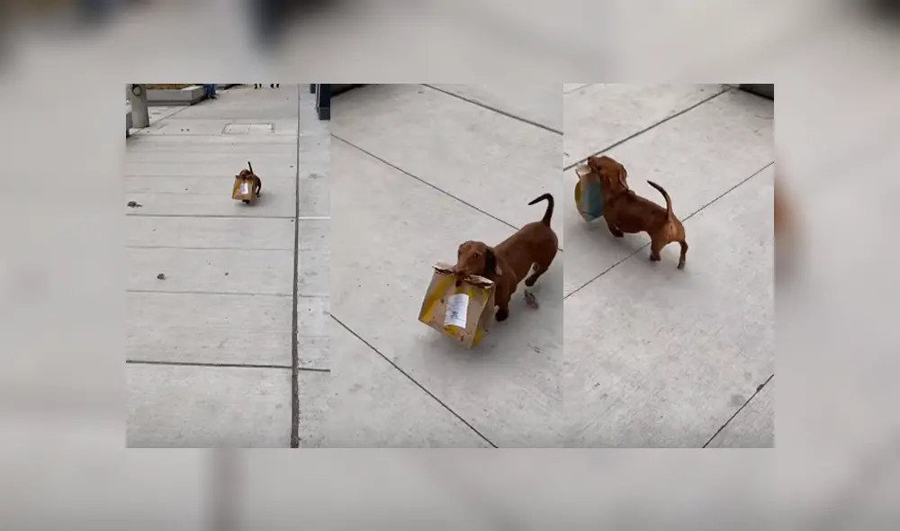 Desliza para ver los detalles del video viral publicado en YouTube. Foto: Captura. Desliza para ver los detalles del video viral publicado en YouTube. Foto: Captura.