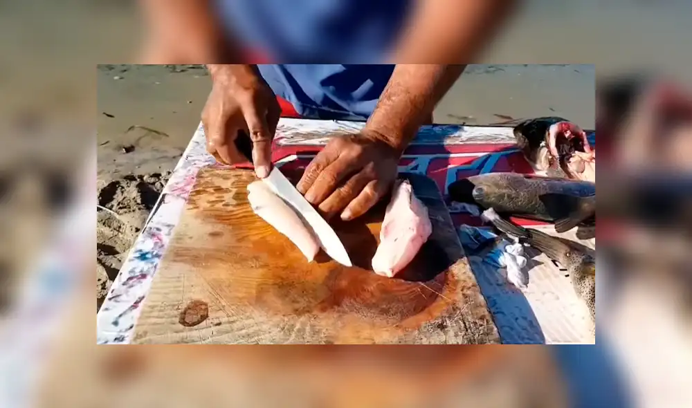 YouTube viral: enseña a cocinar pez globo cuyo veneno es mortal para el ser humano YouTube viral: enseña a cocinar pez globo cuyo veneno es mortal para el ser humano