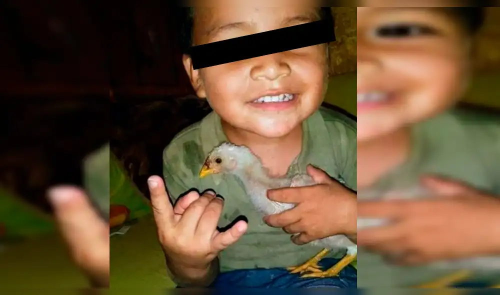 Vía Facebook: la conmovedora historia del niño y su pollito que tuvo trágico desenlace [FOTOS]