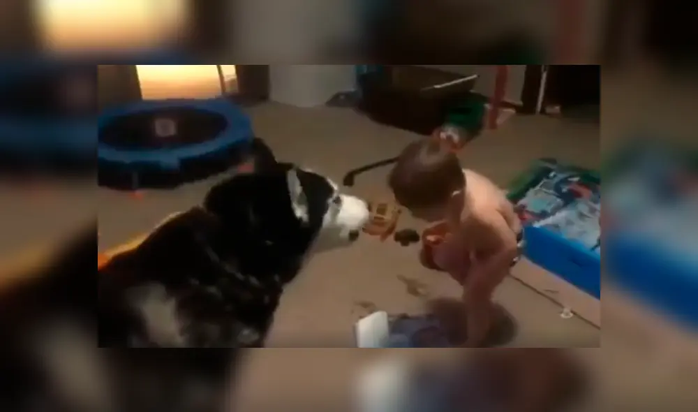 Desliza hacia la izquierda para ver la conmovedora escena del viral de Facebook.