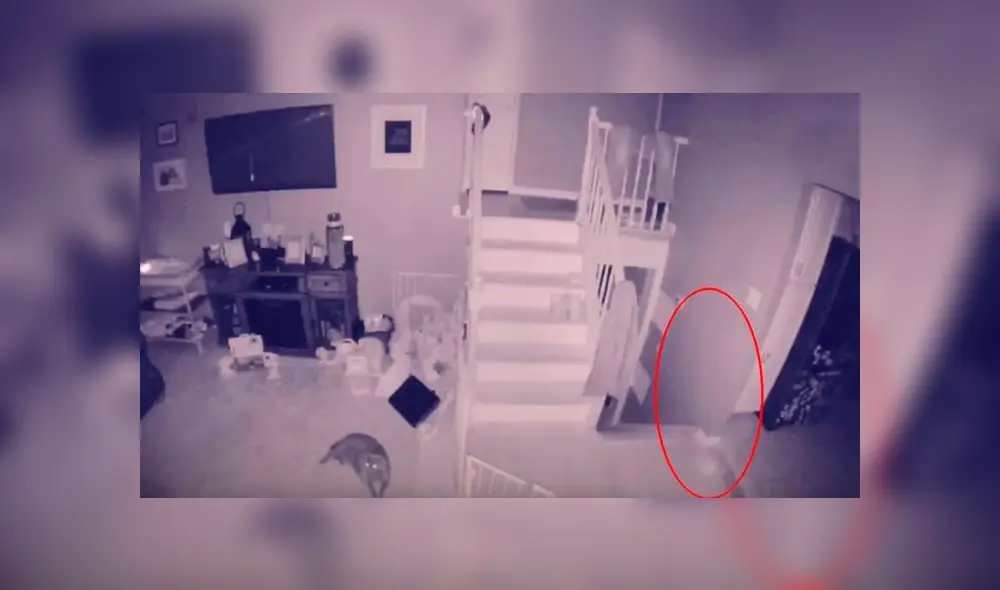 Video es viral en YouTube. El hombre quedó con los ‘pelos de punta’, luego de ver el video de vigilancia que mostró lo que sucede en su casa cuando es de noche. Foto: Captura. Video es viral en YouTube. El hombre quedó con los ‘pelos de punta’, luego de ver el video de vigilancia que mostró lo que sucede en su casa cuando es de noche. Foto: Captura.
