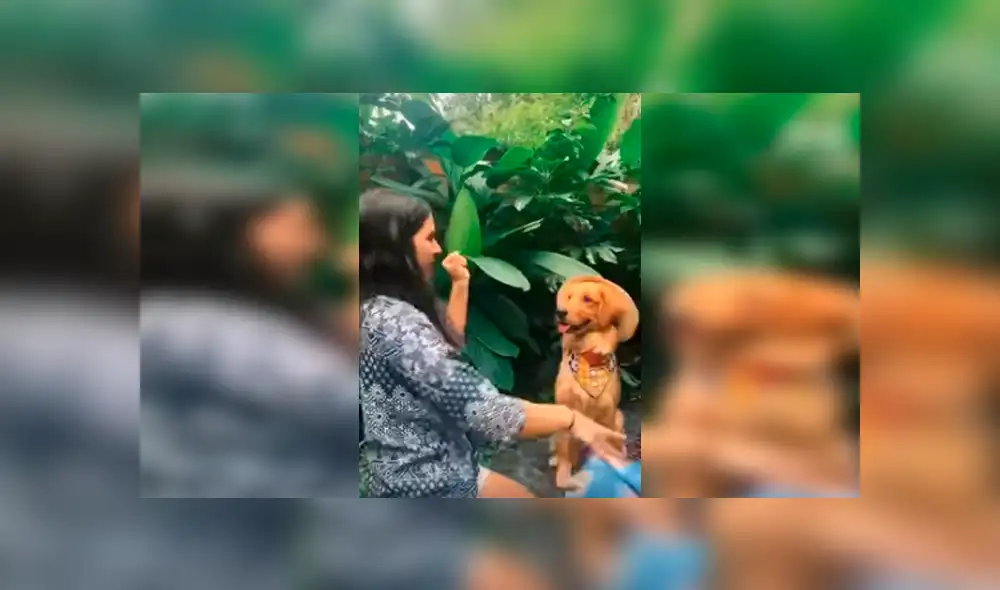 Desliza las imágenes para apreciar la divertida actuación de una joven acompañada de su mascota. Desliza las imágenes para apreciar la divertida actuación de una joven acompañada de su mascota.