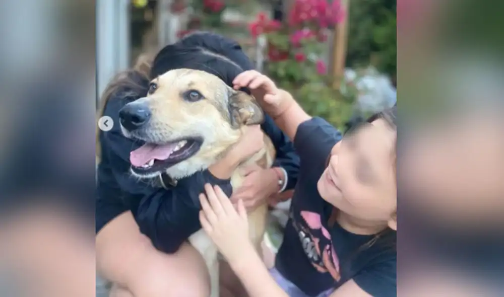 Desliza las imágenes para conocer más sobre esta conmovedora escena entre dos hermanas y su perro Oscar, que estuvo varias semanas perdido. Foto: captura de Instagram Desliza las imágenes para conocer más sobre esta conmovedora escena entre dos hermanas y su perro Oscar, que estuvo varias semanas perdido. Foto: captura de Instagram