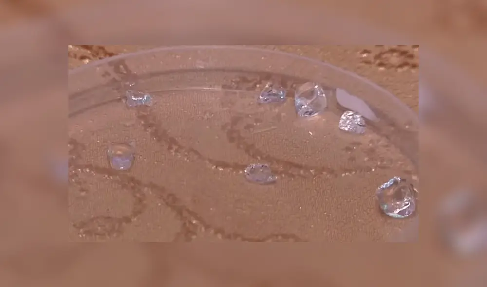 El viceministro de Salud de Armenia indicó que se realizará un foro para abordar las posibles causas. Foto: Captura