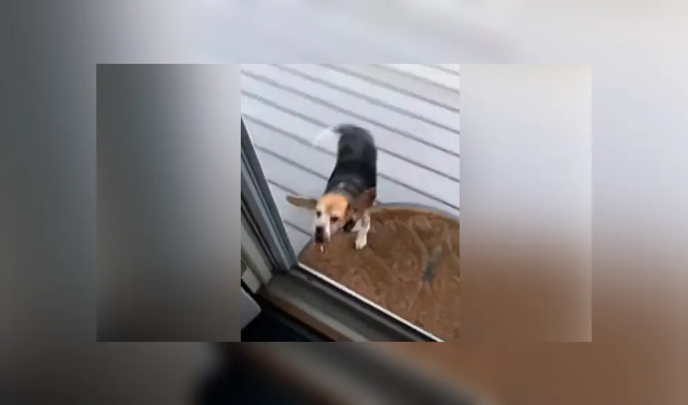 Desliza hacia la izquierda para ver las imágenes del viral de YouTube. Desliza hacia la izquierda para ver las imágenes del viral de YouTube.