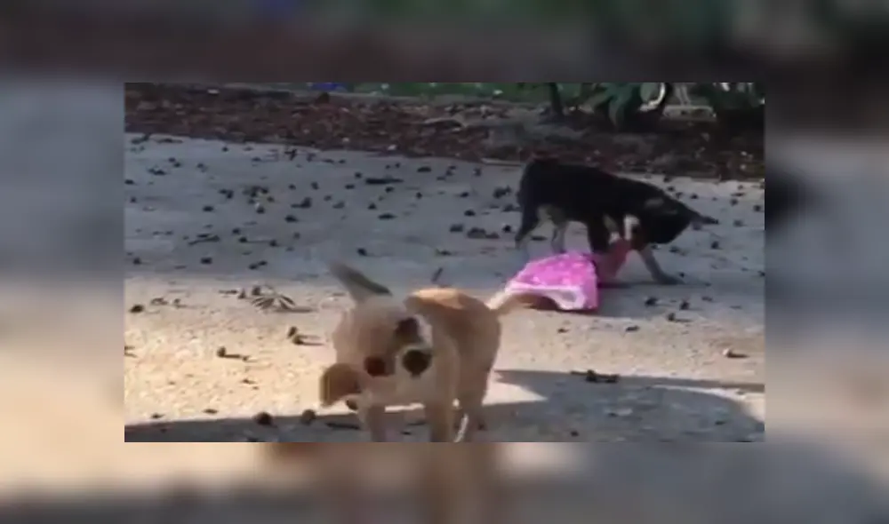 Desliza para ver los detalles del video viral publicado en YouTube. Foto: Captura. Desliza para ver los detalles del video viral publicado en YouTube. Foto: Captura.