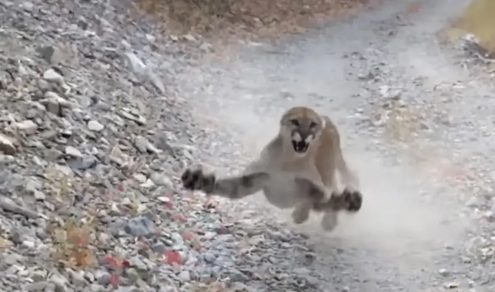 Desliza hacia la izquierda para ver las imágenes del video viral. Foto: Captura de Facebook. Desliza hacia la izquierda para ver las imágenes del video viral. Foto: Captura de Facebook.