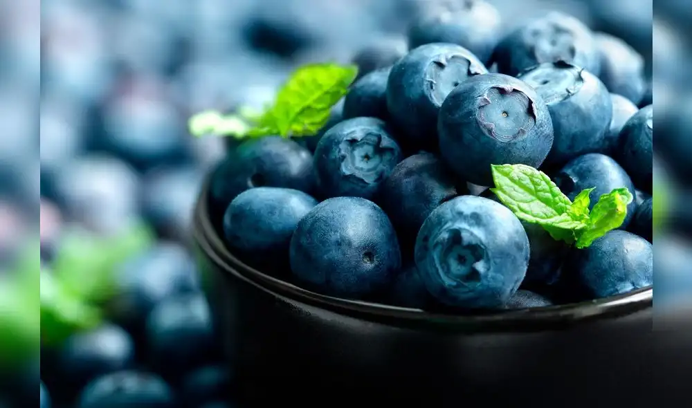 Exportación Exportación