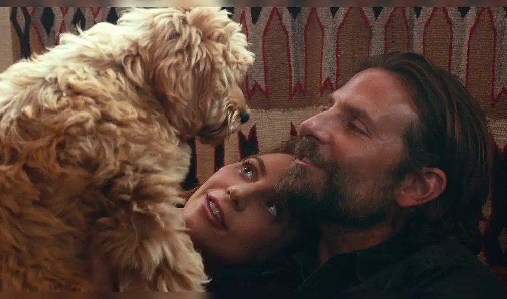 Oscars 2019: Bradley Cooper y Lady Gaga protagonizaron romántica escena