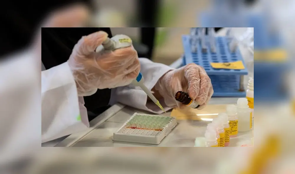 Para este estudio se espera analizar un mínimo de 60.000 individuos. (Foto: Arash Khamooshi / Europa Press) Para este estudio se espera analizar un mínimo de 60.000 individuos. (Foto: Arash Khamooshi / Europa Press)