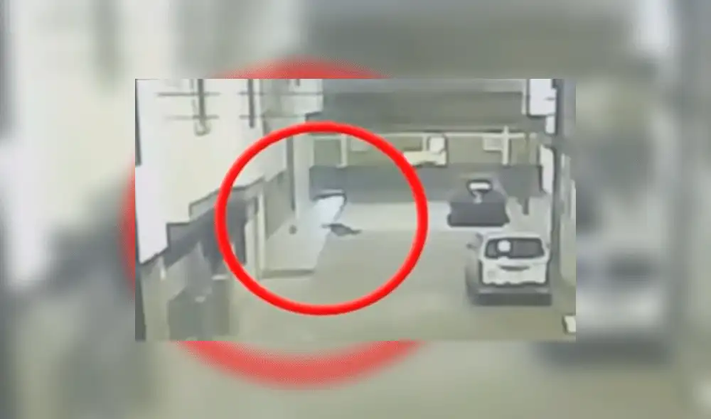 San Juan de Lurigancho: investigan extraña muerte de hombre que cayó de edificio [VIDEO]