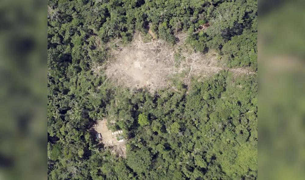 Conoce el Programa de Monitoreo paisajístico que protege la Amazonía Peruana [FOTOS]