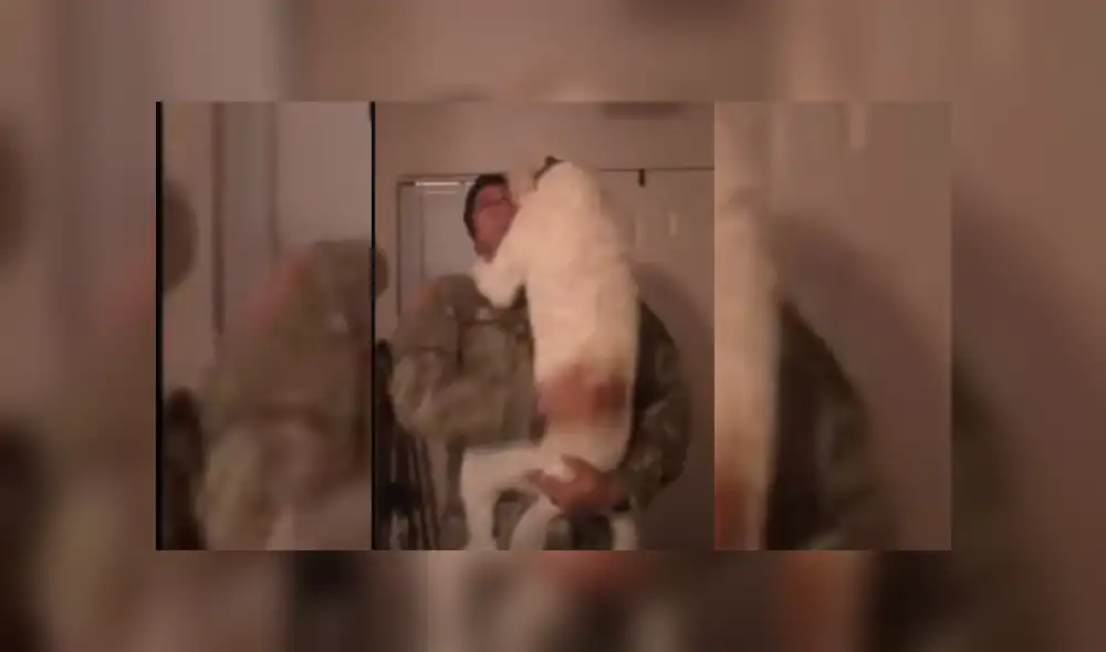 Video es viral en YouTube. Un soldado regresó a su casa después de nueve meses y fue sorprendido por la efusiva reacción que tuvo su mascota al volver a verlo. Video es viral en YouTube. Un soldado regresó a su casa después de nueve meses y fue sorprendido por la efusiva reacción que tuvo su mascota al volver a verlo.