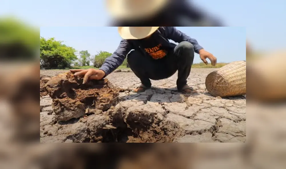 Desliza hacia la izquierda para ver las imágenes del viral de Facebook. Desliza hacia la izquierda para ver las imágenes del viral de Facebook.