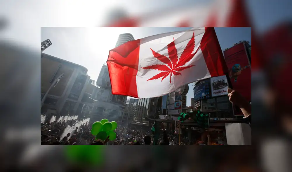 Senado de Canadá aprueba ley para legalizar la marihuana