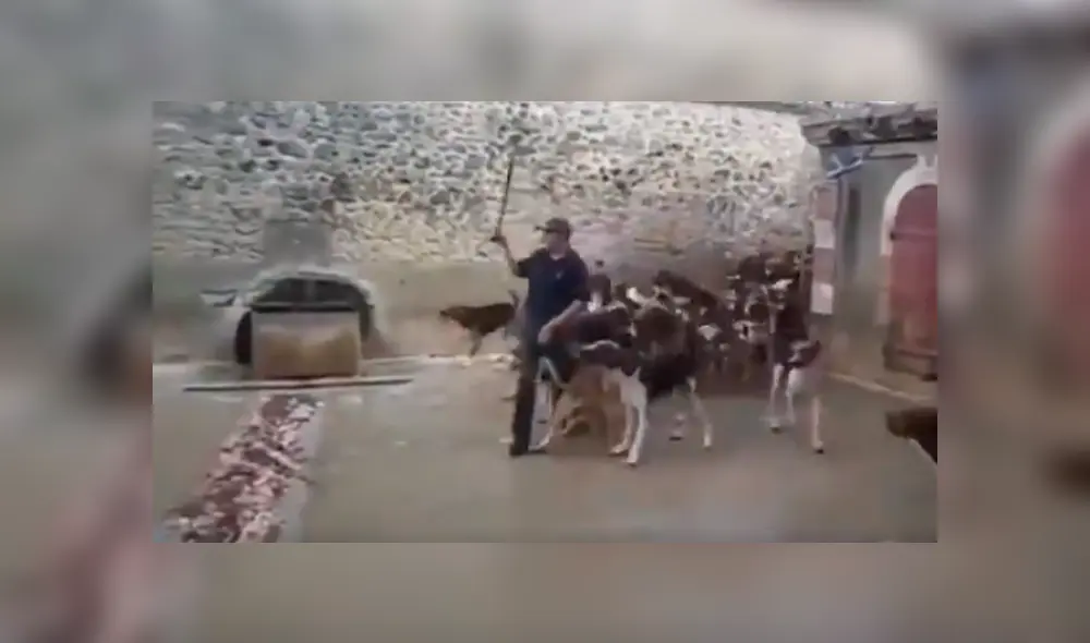 YouTube viral: critican a cazador que alimentó con látigo a jauría de perros hambrientos [VIDEO] 