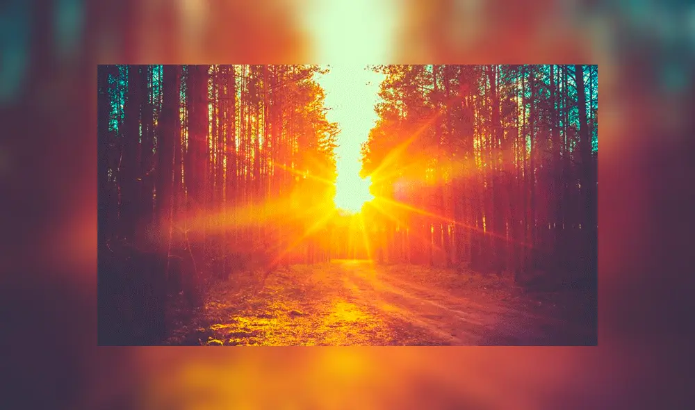 Ambos se dan dos veces al año. Foto: bruev / Getty Images/iStockphoto