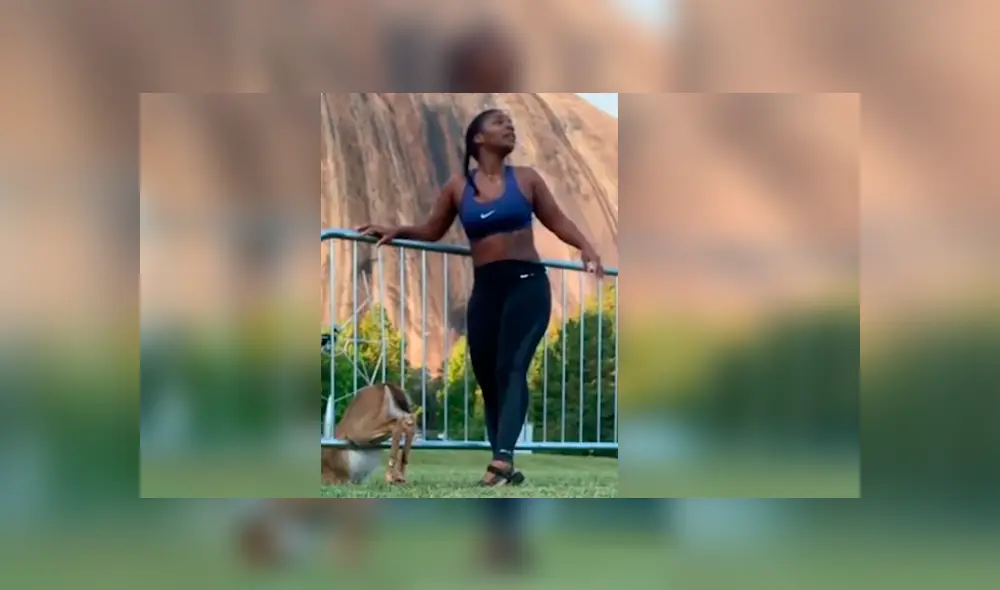 Deportista se ha ganado la admiración de todos por lo que hizo luego de ver que el animal estaba en problemas. Video es viral en YouTube