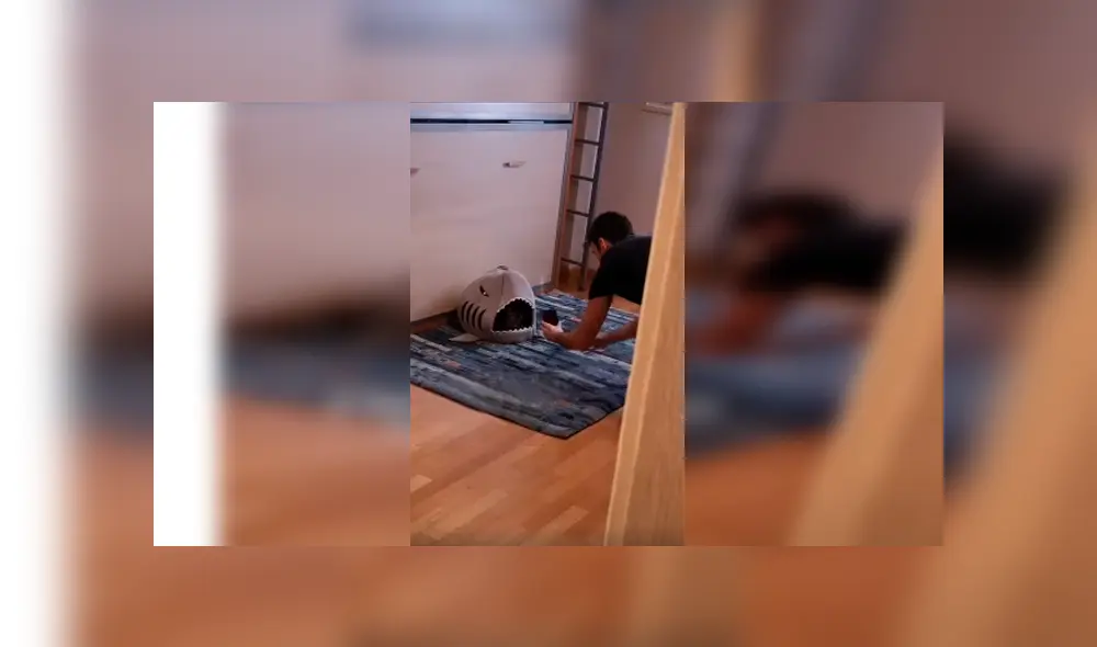 Desliza las imágenes para apreciar la curiosa escena protagonizada por un joven junto a la mascota de su pareja.