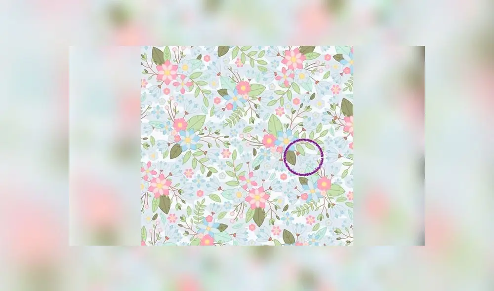 Desliza las imágenes para conocer la respuesta de este complejo reto visual. Foto: Facebook/difusión Desliza las imágenes para conocer la respuesta de este complejo reto visual. Foto: Facebook/difusión