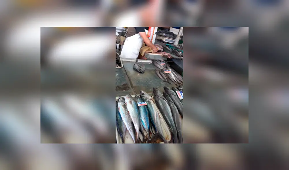 Desliza las imágenes para ver cómo el pequeño gato bebé robó un poco de pescado a un vendedor de México. Foto: Captura/facebook Desliza las imágenes para ver cómo el pequeño gato bebé robó un poco de pescado a un vendedor de México. Foto: Captura/facebook