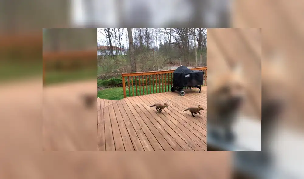 Desliza para ver los detalles del video viral publicado en Facebook. Foto: Captura.