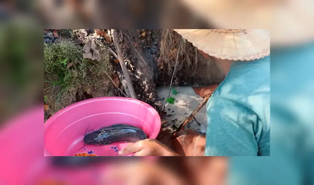 YouTube viral: 'Misteriosas criaturas' emergen de hoyo que descubrió joven [VIDEO]