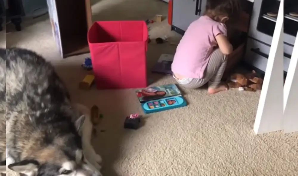 Desliza las imágenes para ver más detalles sobre esta divertida escena entre una niña y su travieso perro. Foto: captura de YouTube
