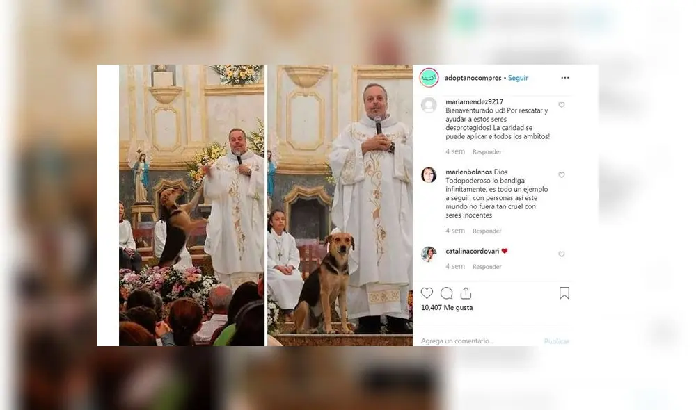 Brasil: personaje ha sido protagonista de diversas noticias en Brasil. Brasil: personaje ha sido protagonista de diversas noticias en Brasil.