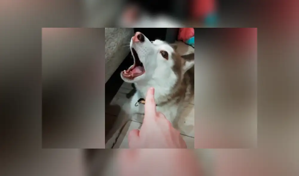 Desliza hacia la izquierda para ver las imágenes del viral de Facebook. Desliza hacia la izquierda para ver las imágenes del viral de Facebook.