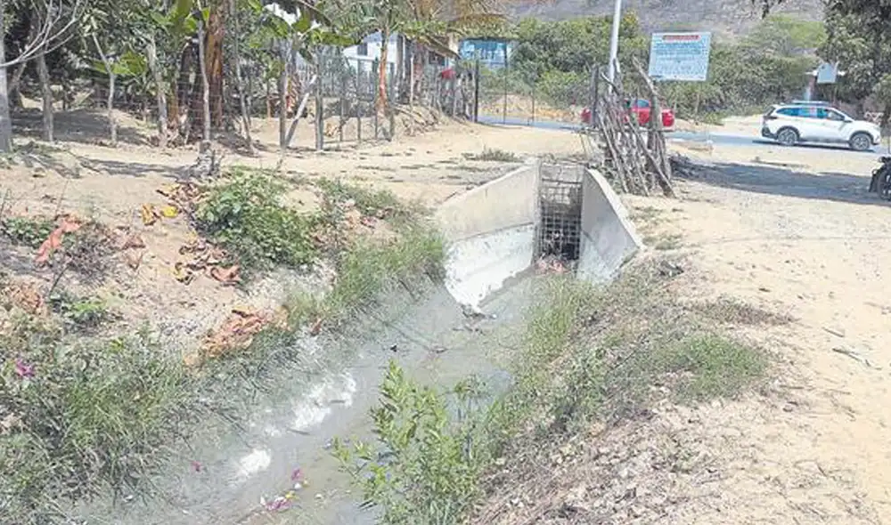 El bebé fue hallado a la zona aledaña a un campo deportivo El bebé fue hallado a la zona aledaña a un campo deportivo