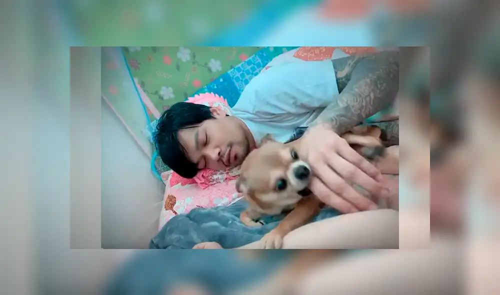 Video es viral en YouTube. Mujer grabó el agresivo comportamiento del perro cada vez que su esposo intentaba tocarla mientras dormía con los dos Video es viral en YouTube. Mujer grabó el agresivo comportamiento del perro cada vez que su esposo intentaba tocarla mientras dormía con los dos