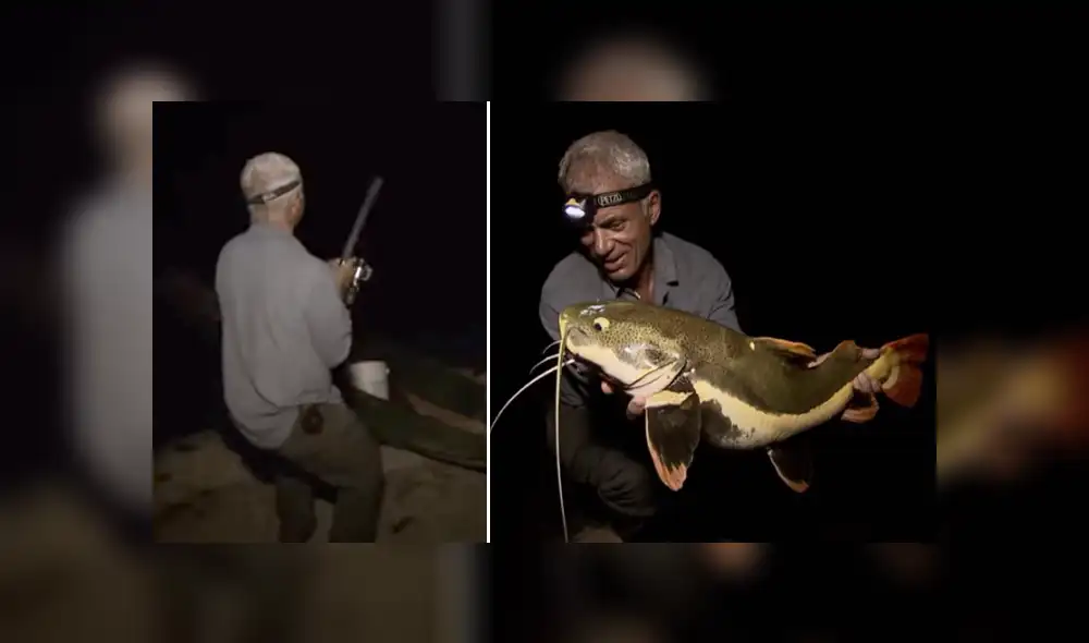 Desliza hacia la izquierda para ver al extraño animal que capturó Jeremy Wade. Foto: Monstruos de río