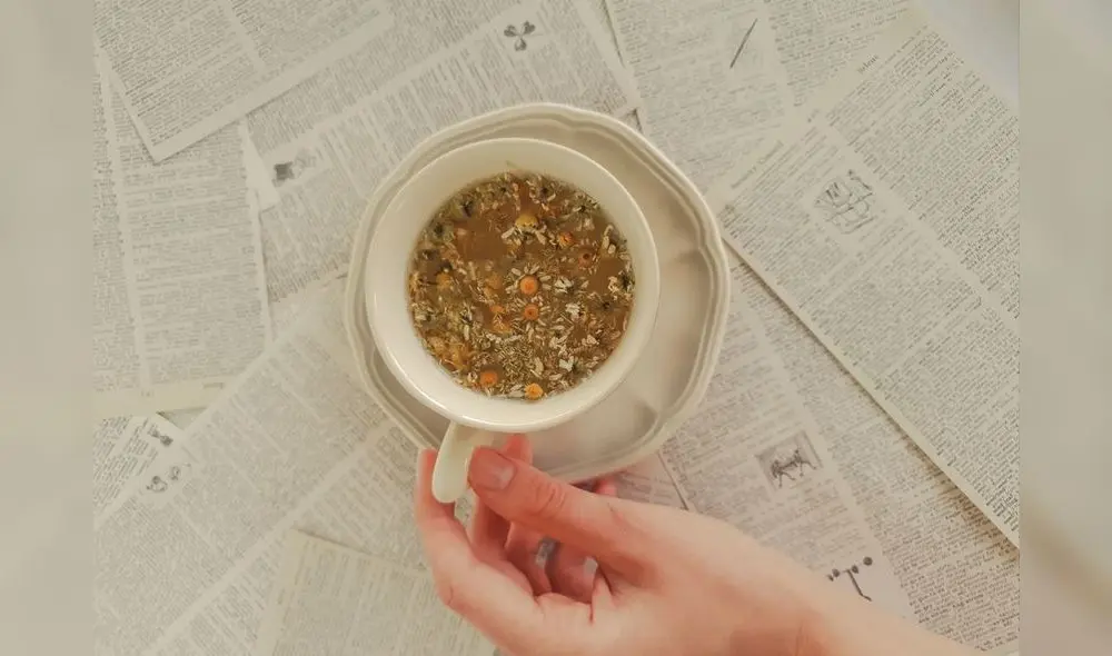 El nombre científico de la manzanilla es chamaemelum nobile. Foto: Pexels