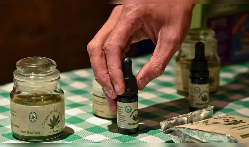 Los nuevos empresarios del cannabis estudian en Manhattan